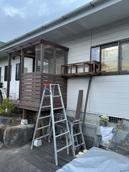 猫ちゃんたちの通り道！