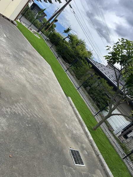 人工芝敷設後の庭全体